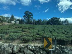 -优游吧斯邹族文化部落