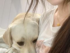 -汪说·狗咖·拼豆·宠物周边DIY(旺城大厦店)