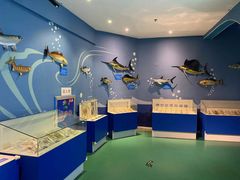 -烟台海昌鲸鲨海洋公园
