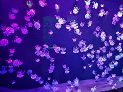 -石家庄极地海洋世界
