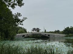 -东湖落雁景区