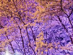 -DQ·蛋糕·冰淇淋(虹口龙之梦店)