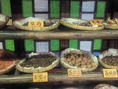 -陈李济中药博物馆