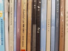 -独音唱片 Indie Music