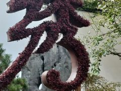 -杭州植物园