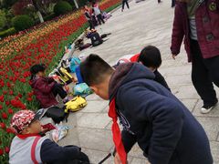 -上海鲜花港
