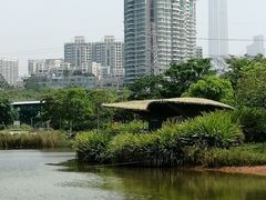 -福田红树林生态公园