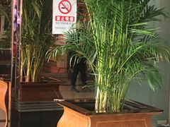 -乐圣量贩KTV自助餐(崇文店)