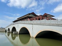 -大湾区中央湿地公园