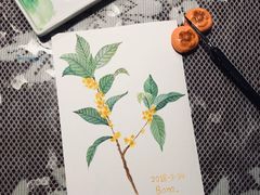 -六出私塾LiuChu•成人美术书法系统课程专业画室(熊婆婆的花园店)