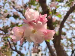 -元大都城垣遗址公园