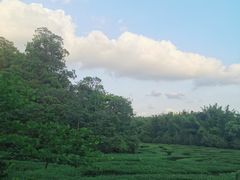 -大屏嶂森林公园