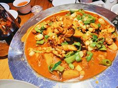 -俭寨大盘芦花土鸡·小公鸡·烧烤新疆菜(云通店)