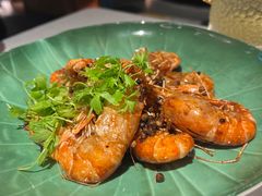-桂满陇·海市蜃楼·黑金(国金店)