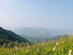 -灵山