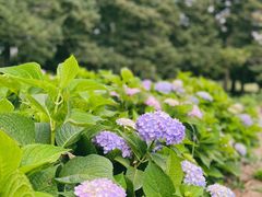 -国家植物园南园