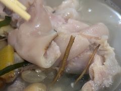 -胖娃滋补蹄花