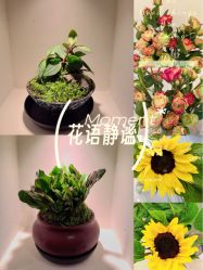 -FUMEIHUI·科技美肤·美体SPA