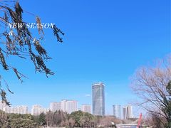 -南翔古镇