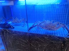 -酌宴府The China Club·广州万富希尔顿酒店(云城东路店)