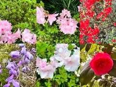 -雁荡山三折瀑景区