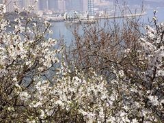 -黑石礁公园