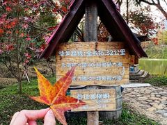 -田野绿世界