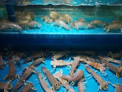 -学府海鲜批发市场