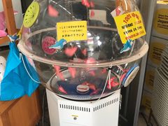 -西海国立公园九十九岛水族馆