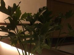 -紫莲花足道(柯桥古镇店)
