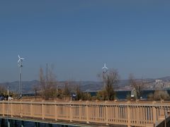 -洱海月湿地公园