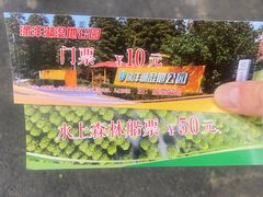 -渌洋湖湿地公园