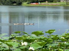 -武汉园博园(武汉自然博物馆)