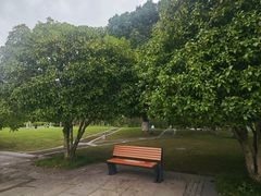 -九里河湿地公园