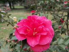 -四川大学(望江校区)