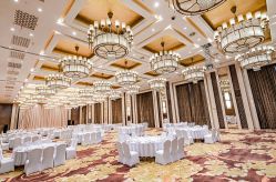 -天泰一站式婚宴·宴会厅