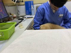 -惠康宠物医院(华能路店)