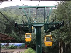 -白草畔自然风景区