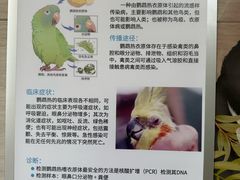 -北京观赏动物医院·24小时大型综合·猫专科·异宠专科