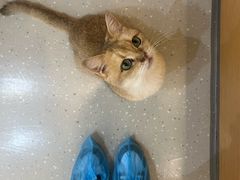 -小小班私人影院·猫咖(万达茂广场店)