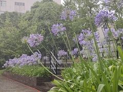 -云南师范大学(一二一西南联大校区)