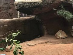 -悉尼海洋生物水族馆
