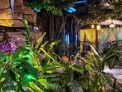 -泉城欧乐堡戏水湾艺术养生温泉