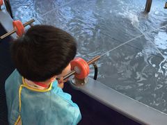 -中国宋庆龄青少年科技文化交流中心
