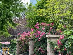 -天津五大道文化旅游区