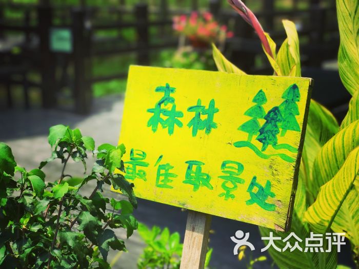 呼吸森林-图片-苏州美食-大众点评网