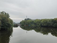 -溱湖国家湿地公园