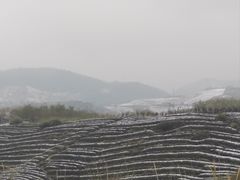 -四明山国家森林公园