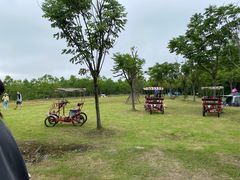 -上海海湾国家森林公园