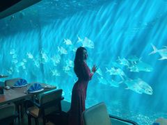 -海棠湾洲际-涛·海底餐厅·美人鱼·自助餐·海底隧道